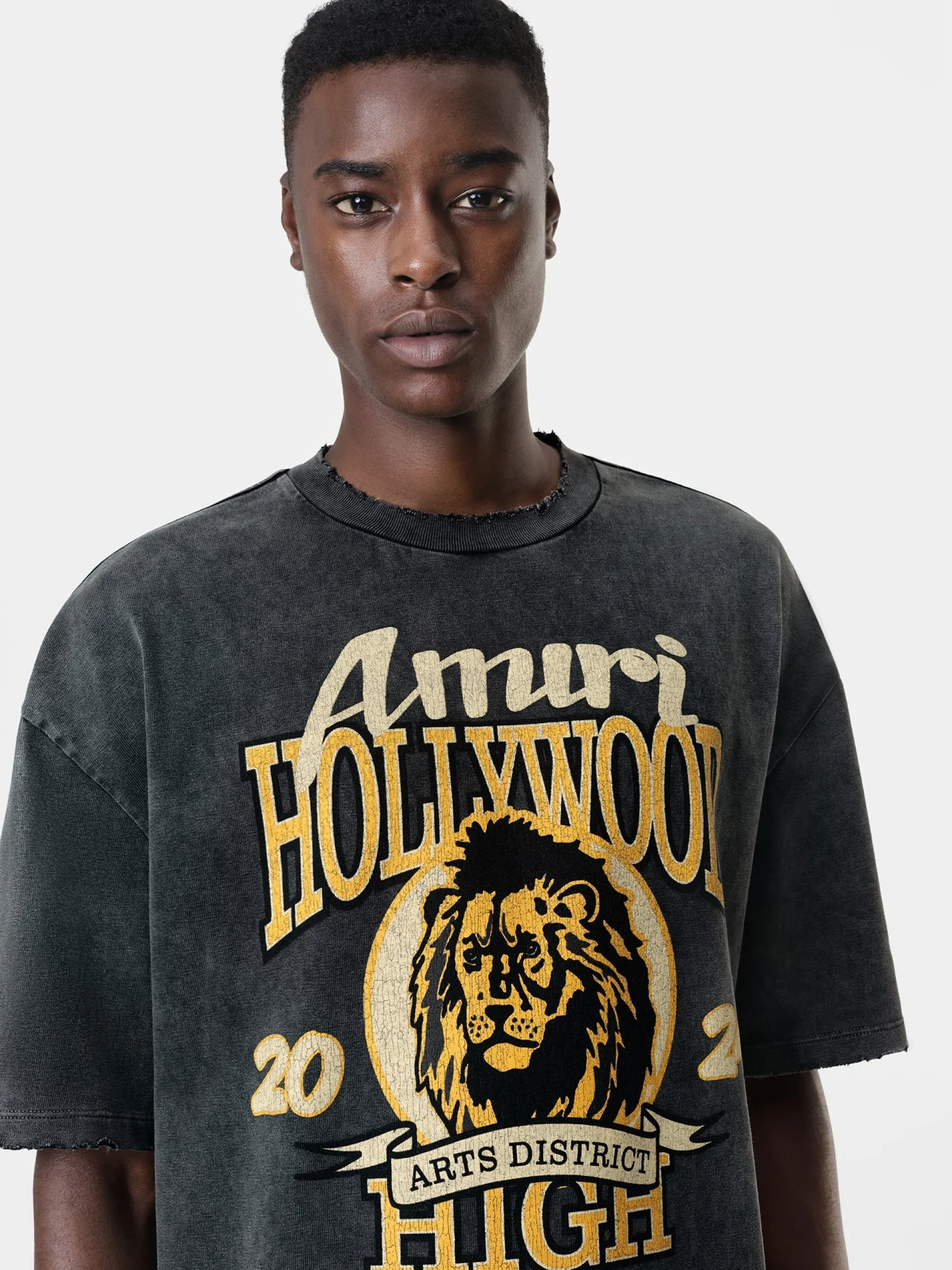 AMIRI Tees<HIGH LION SKATER TEE BLACK